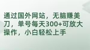 通过国外网站，无脑赚美刀，单号每天300+可放大操作，小白轻松上手【揭秘】-讯领网创