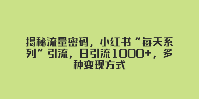 揭秘流量密码，小红书“每天系列”引流，日引流1000+，多种变现方式-讯领网创