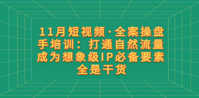 11月短视频·全案操盘手培训：打通自然流量 成为想象级IP必备要素 全是干货-讯领网创