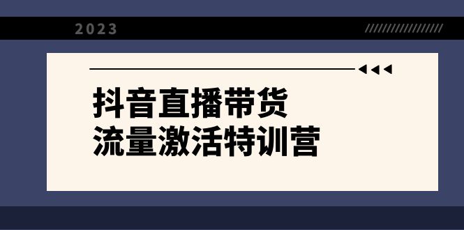 抖音直播带货-流量激活特训营，入行新手小白主播必学（21节课+资料）-讯领网创