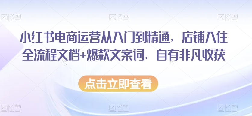 小红书电商运营从入门到精通，店铺入住全流程文档+爆款文案词，自有非凡收获-讯领网创