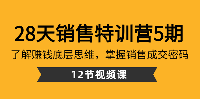 28天·销售特训营5期：了解赚钱底层思维，掌握销售成交密码（12节课）-讯领网创