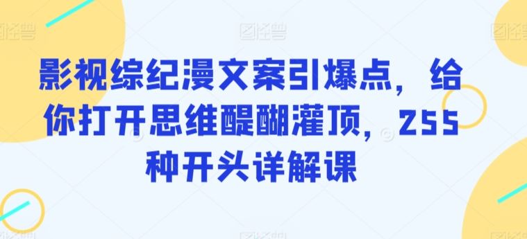 影视综纪漫文案引爆点，给你打开思维醍醐灌顶，255种开头详解课-讯领网创