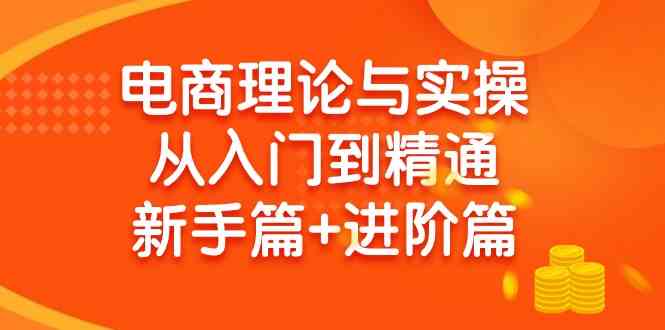 电商理论与实操从入门到精通 新手篇+进阶篇-讯领网创