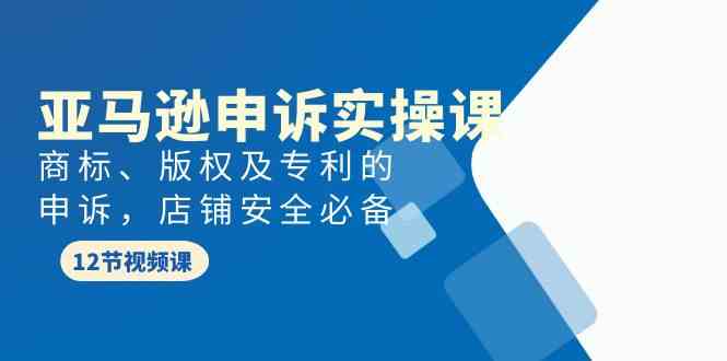 亚马逊-申诉实战课，​商标、版权及专利的申诉，店铺安全必备-讯领网创