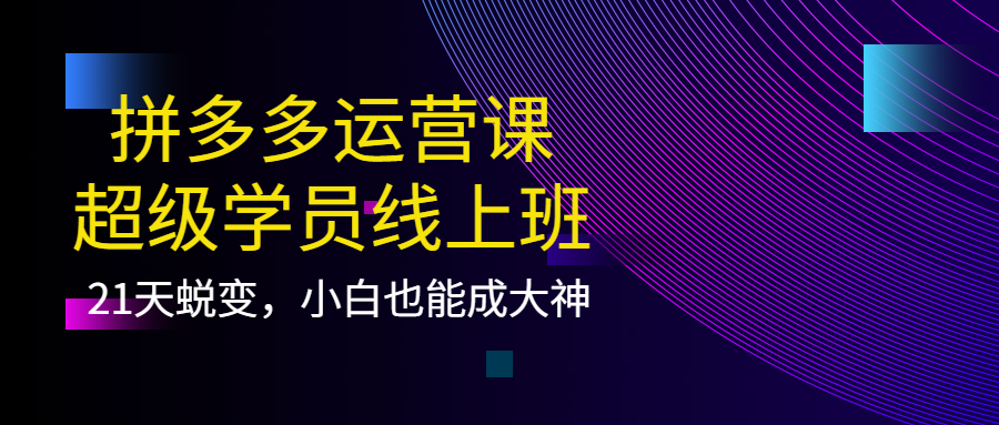 拼多多运营课：超级学员线上班，21天蜕变，小白也能成大神-讯领网创