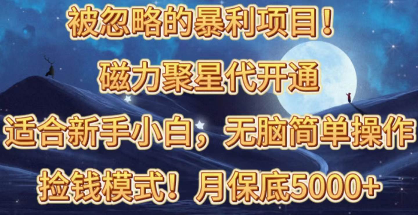 （10245期）被忽略的暴利项目！磁力聚星代开通捡钱模式，轻松月入五六千-讯领网创