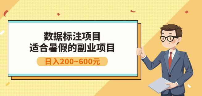 副业赚钱：人工智能数据标注项目，简单易上手，小白也能日入200+-讯领网创