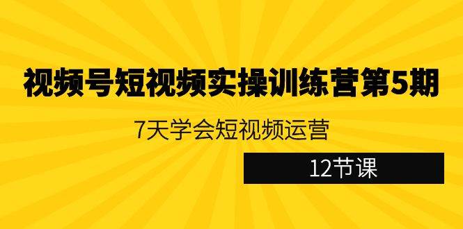 （9029期）视频号短视频实操训练营第5期：7天学会短视频运营（12节课）-讯领网创