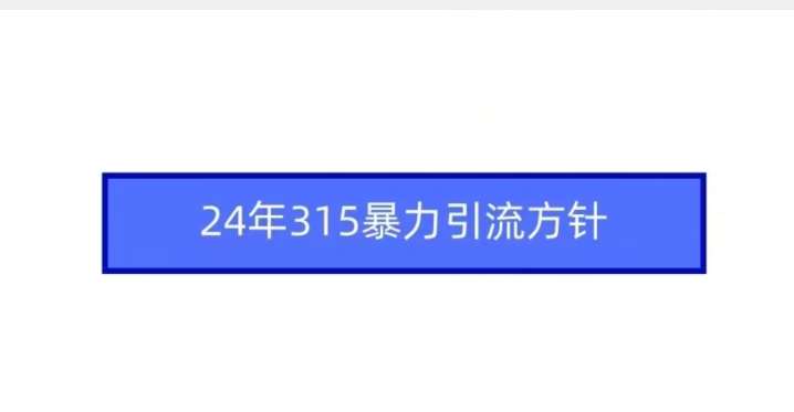 24年315暴力引流方针-讯领网创