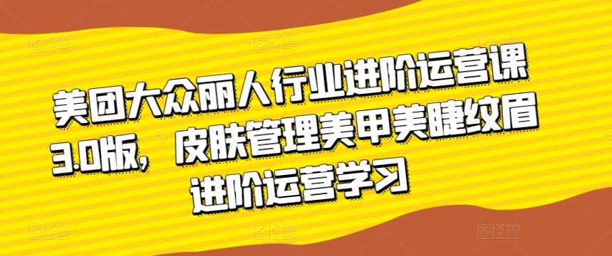 美团大众丽人行业进阶运营课3.0版，皮肤管理美甲美睫纹眉进阶运营学习-讯领网创