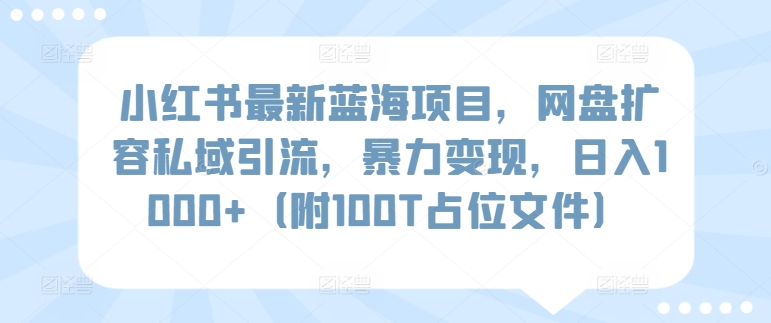 小红书最新蓝海项目，网盘扩容私域引流，暴力变现，日入1000+（附100T占位文件）【揭秘】-讯领网创