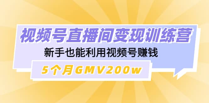 视频号直播间变现训练营-讯领网创