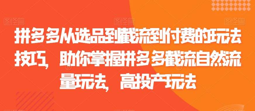 拼多多从选品到截流到付费的玩法技巧，助你掌握拼多多截流自然流量玩法，高投产玩法-讯领网创