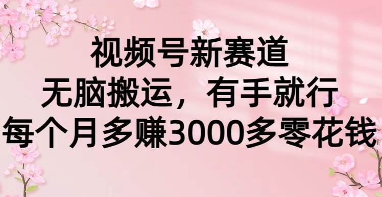 视频号新赛道，无脑搬运，有手就行，每个月多赚3000多零花钱-讯领网创