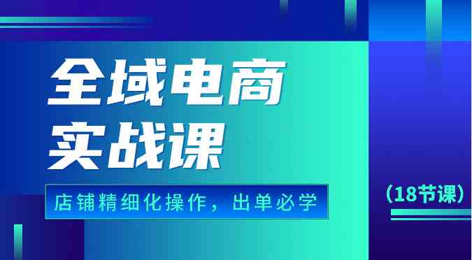 全域电商实战课，个人店铺精细化操作流程，出单必学内容（18节课）-讯领网创