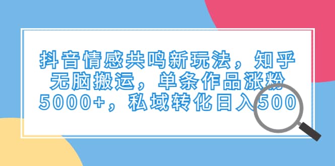 抖音情感共鸣新玩法，知乎无脑搬运，单条作品涨粉5000+，私域转化日入500-讯领网创