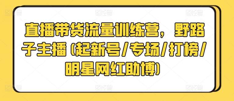 直播带货流量训练营，野路子主播(起新号/专场/打榜/明星网红助博)-讯领网创