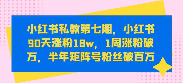 小红书私教第七期，小红书90天涨粉18w，1周涨粉破万，半年矩阵号粉丝破百万-讯领网创