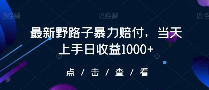 最新野路子暴力赔付，当天上手日收益1000+【仅揭秘】-讯领网创