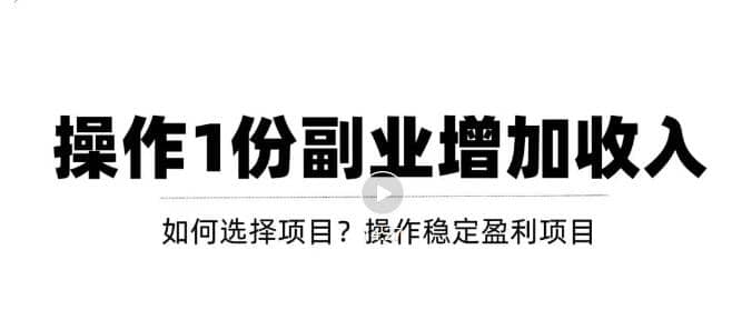 新手如何通过操作副业增加收入，从项目选择到玩法分享！【视频教程】-讯领网创