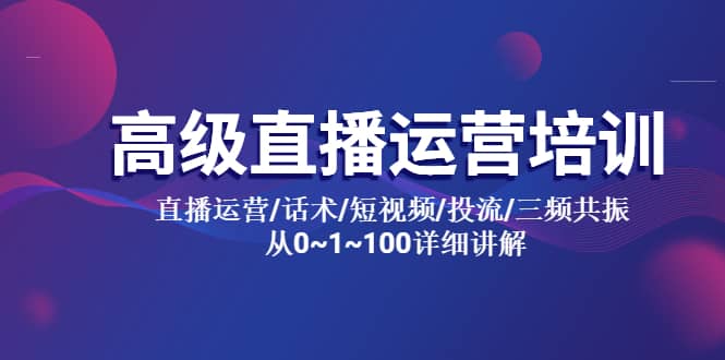 高级直播运营培训 直播运营/话术/短视频/投流/三频共振 从0~1~100详细讲解-讯领网创