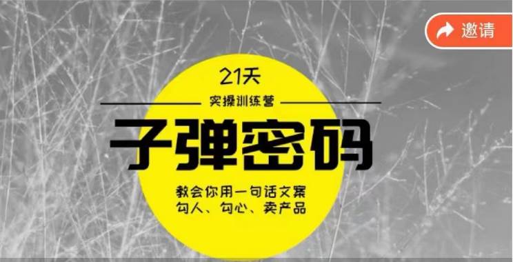 《子弹密码训练营》-用一句话文案勾人勾心卖产品，21天学到顶尖文案大师策略和技巧-讯领网创