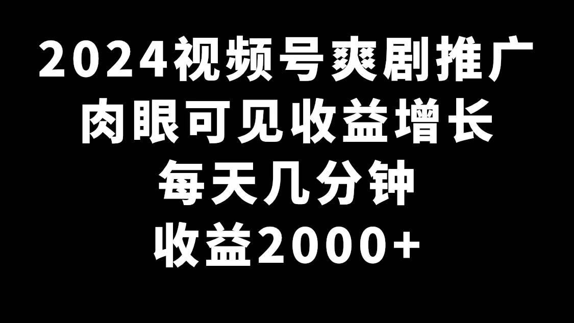 2024视频号爽剧推广，肉眼可见的收益增长，每天几分钟收益2000+-讯领网创