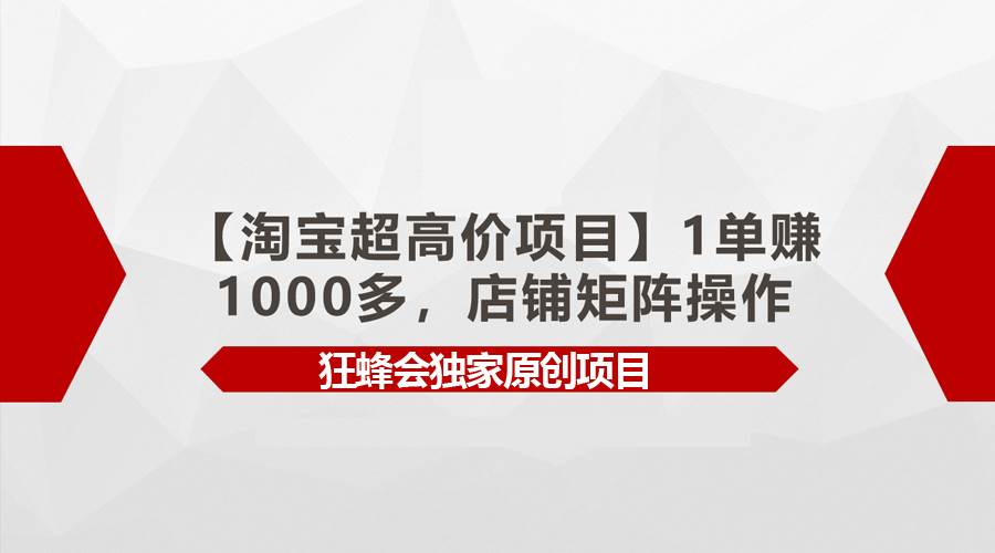 （9849期）【淘宝超高价项目】1单赚1000多，店铺矩阵操作-讯领网创