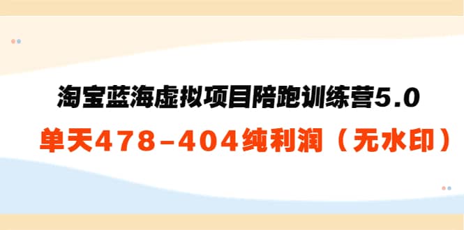 淘宝蓝海虚拟项目陪跑训练营5.0：单天478纯利润（无水印）-讯领网创