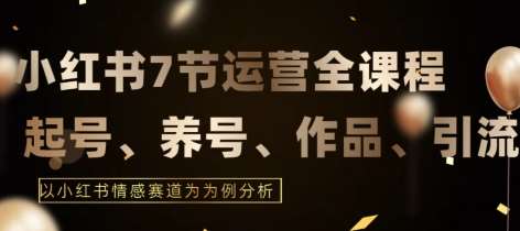 7节小红书运营实战全教程，结合最新情感赛道，打通小红书运营全流程【揭秘】-讯领网创