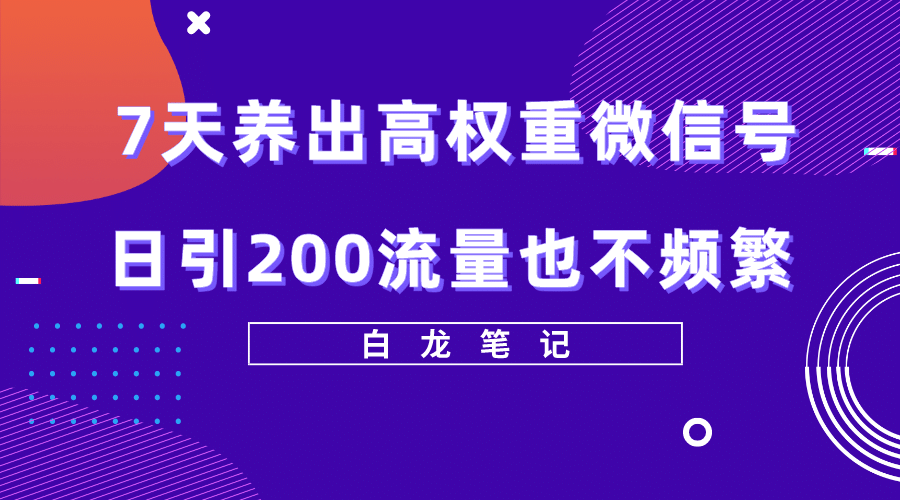 7天养出高权重微信号，日引200流量也不频繁，方法价值3680元-讯领网创