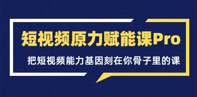 短视频原力赋能课Pro，把短视频能力基因刻在你骨子里的课（价值4999元）-讯领网创