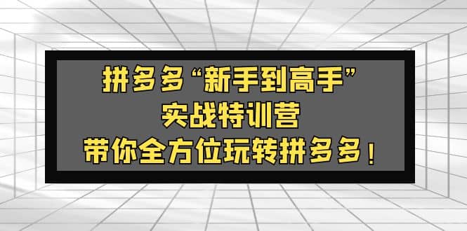 拼多多“新手到高手”实战特训营：带你全方位玩转拼多多-讯领网创