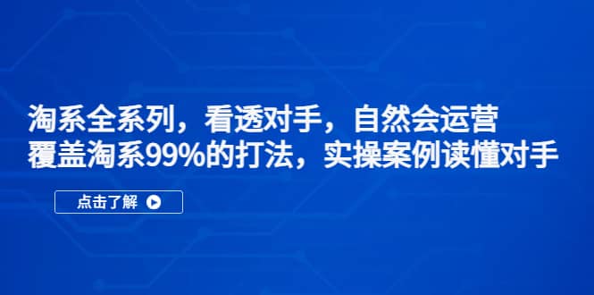 淘系全系列，看透对手，自然会运营，覆盖淘系99%·打法，实操案例读懂对手-讯领网创