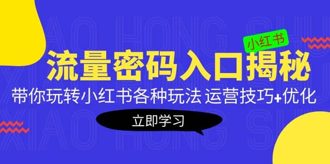 小红书流量密码入口揭秘：带你玩转小红书各种玩法 运营技巧+优化-讯领网创