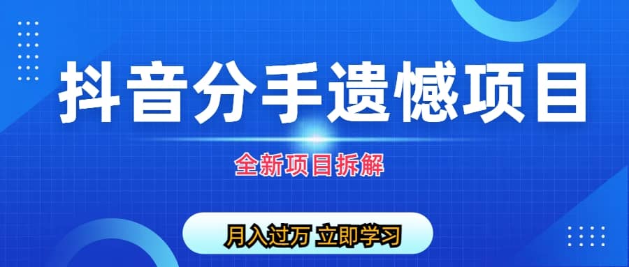 自媒体抖音分手遗憾项目私域项目拆解-讯领网创