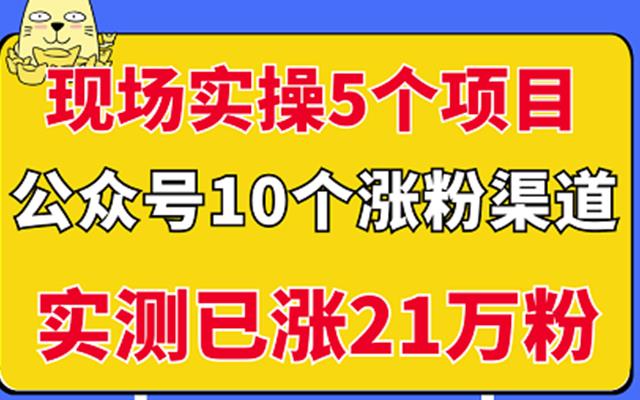 现场实操5个公众号项目，10个涨粉渠道，实测已涨21万粉！-讯领网创