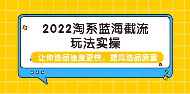 2022淘系蓝海截流玩法实操：让你选品速度更快，提高选品质量（价值599）-讯领网创