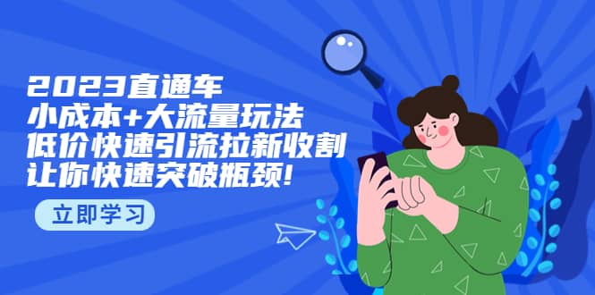 2023直通小成本+大流量玩法，低价快速引流拉新收割，让你快速突破瓶颈-讯领网创