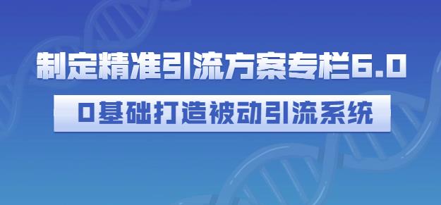 制定精准引流方案专栏6.0，0基础打造被动引流系统-讯领网创