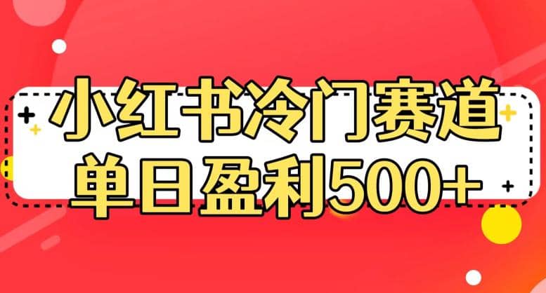 小红书冷门赛道，单日盈利500+【揭秘】-讯领网创