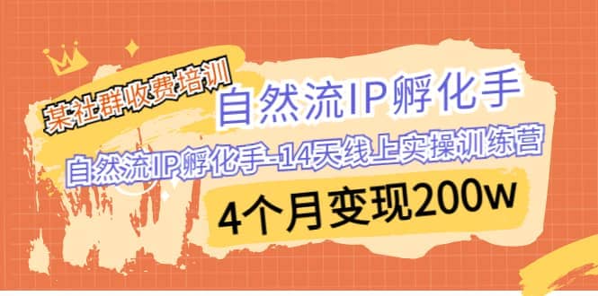 某社群收费培训：自然流IP 孵化手-14天线上实操训练营 4个月变现200w-讯领网创