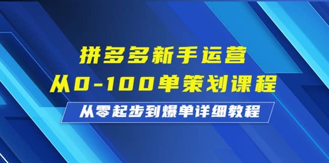 拼多多新手运营从0-100单策划课程，从零起步到爆单详细教程-讯领网创