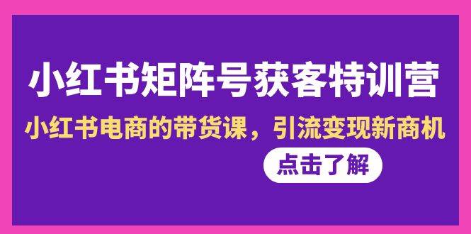 （8909期）小红书-矩阵号获客特训营-第10期，小红书电商的带货课，引流变现新商机-讯领网创