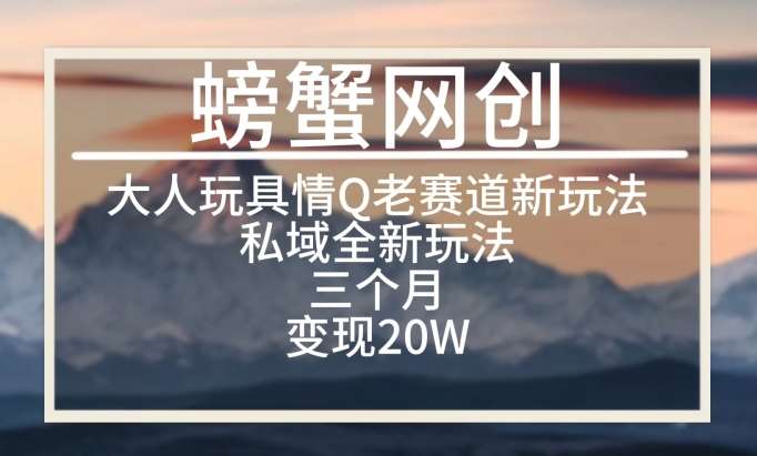 大人玩具情Q用品赛道私域全新玩法，三个月变现20W，老项目新思路【揭秘】-讯领网创