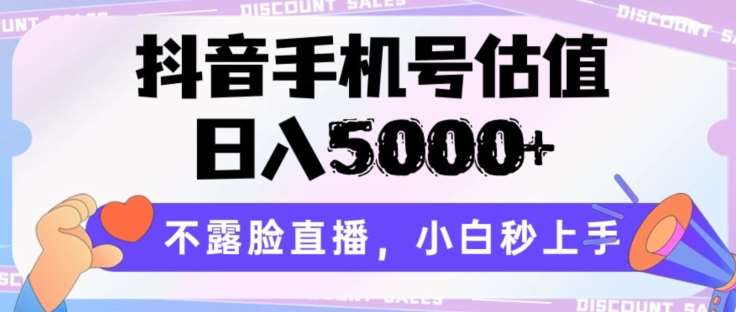 抖音手机号估值，日入5000+，不露脸直播，小白秒上手【揭秘】-讯领网创