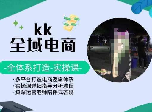 KK全域电商，全体系打造实操课，多平台打造电商逻辑体系-讯领网创