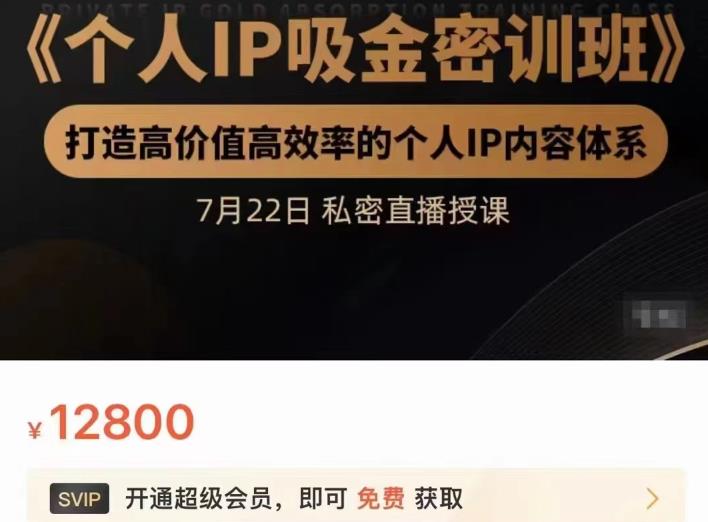 个人IP吸金密训班，打造高价值高效率的个人IP内容体系（价值12800元）-讯领网创