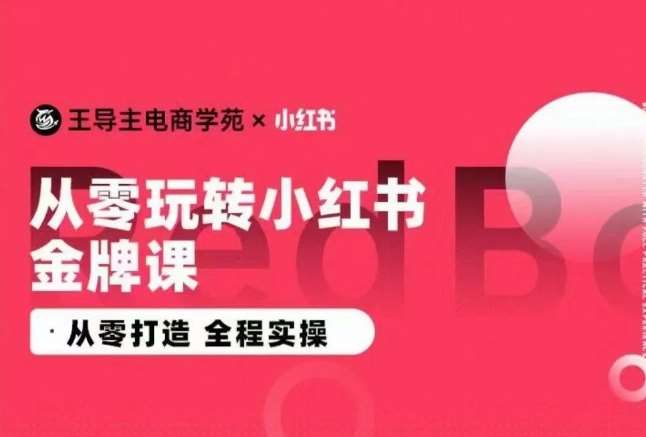 王导主·小红书电商运营实操课，​从零打造  全程实操-讯领网创